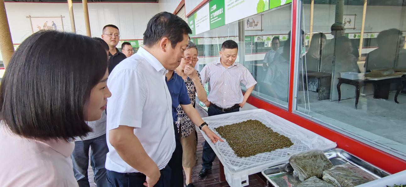 省Z6人生就是博集团党委副书记、董事陈日赴嘉陵区调研茶桑产业发展情况