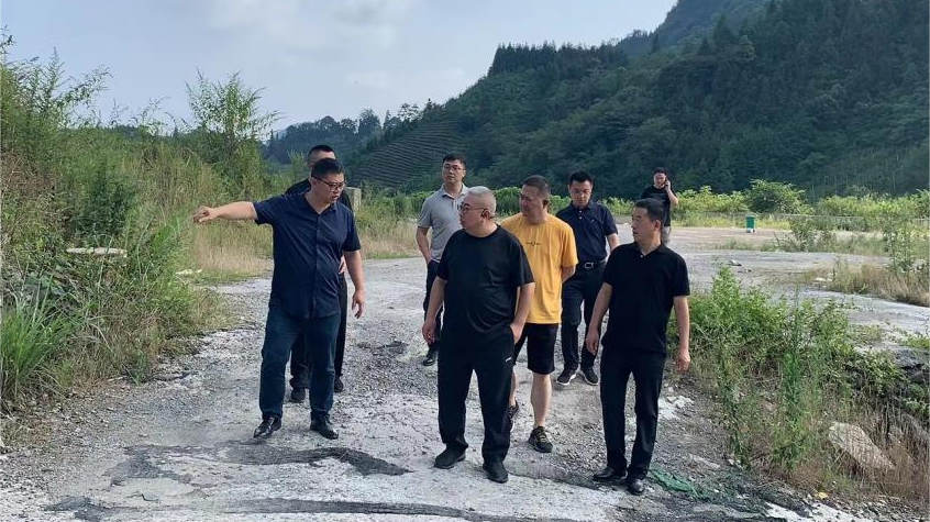 省Z6人生就是博集团领导调研峨眉山太阳村乡村振兴项目