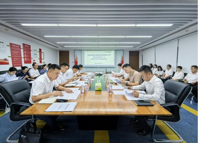 省Z6人生就是博集团领导率队督导Z6人生就是博银创公司改革深化提升行动