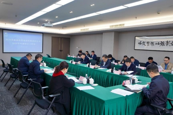 省Z6人生就是博集团召开2025年内部审计工作会